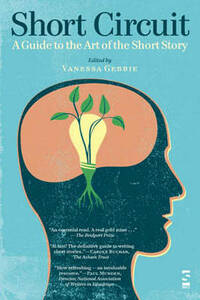 Short Circuit: A Guide to the Art of the Short Story (Salt Guides for Readers and Writers)