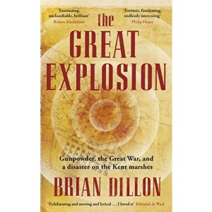 The Great Explosion: Gunpowder, the Great War, and a Disaster on the Kent Marshes