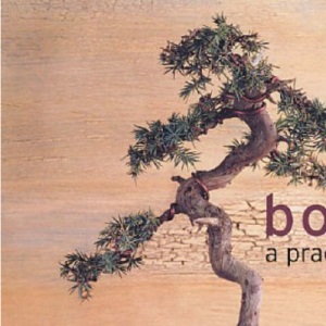 Bonsai: A Practical Guide