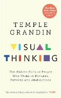 Visual Thinking