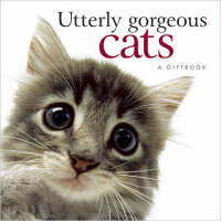 Utterly Gorgeous Cats