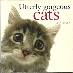 Utterly Gorgeous Cats