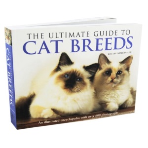 The Ultimate Guide to Cat Breeds