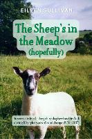 The Sheep's in the Meadow... Hopefully!