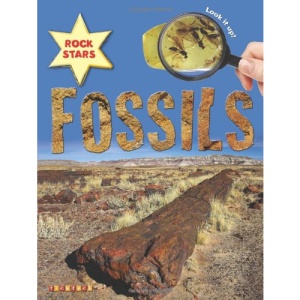 Fossils (Rock Stars)