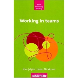 Working in Teams (Better Partnership Working)