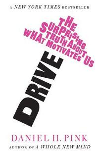 Drive: The Surprising Truth About What Motivates Us