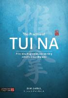 The Practice of Tui Na