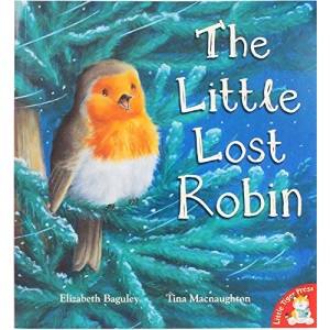 The Little Lost Robin