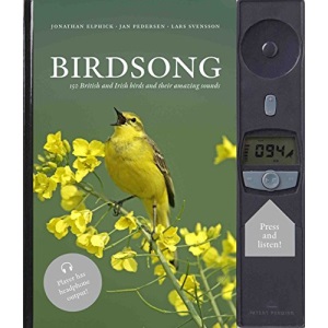 Birdsong