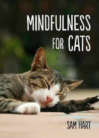 Mindfulness for Cats