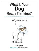 What Is Your Dog Really Thinking?
