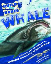 Whale (Build the Bones)