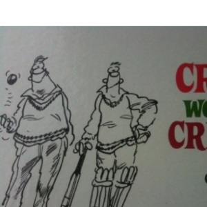 The Crazy World of Cricket