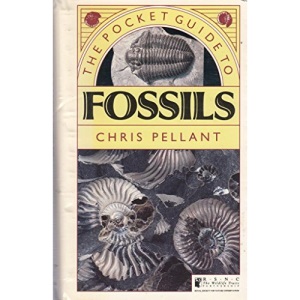 PKT GDE TO FOSSILS SB (Natural history pocket guides)