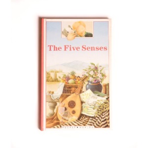 The Five Senses (Pocket Worlds S.)