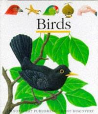 Birds (First Discovery) (First Discovery Series)