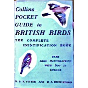 Collins Pkt Gde To Birds