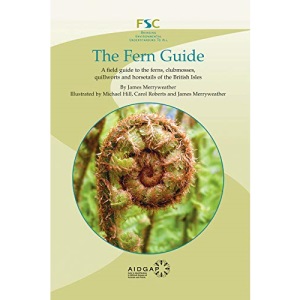 The Fern Guide