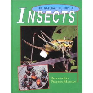 The Natural History of Insects
