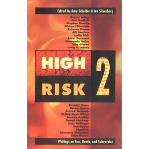 High Risk 2: 2: Writings on Sex, Death and Subversion