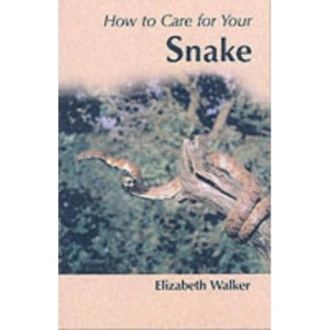 How to Care for Your Snake (Your first)
