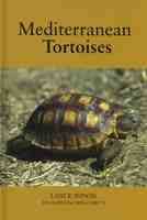 Mediterranean Tortoises