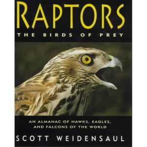 Raptors: The Birds of Prey