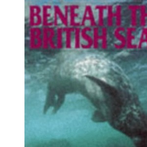 Beneath British Seas (Diving guides)