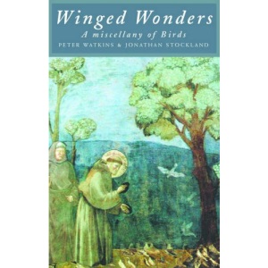Winged Wonders: A Miscellany of Brids