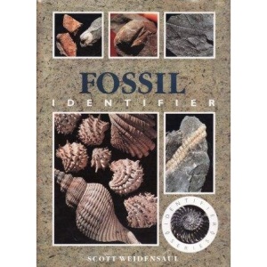 Fossil Identifier