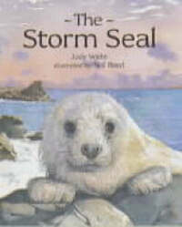 The Storm Seal