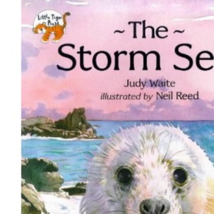 The Storm Seal