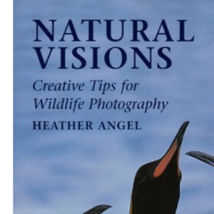 Natural Visions: Creative Tips for Wildlife Photography