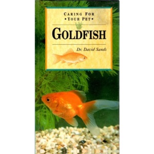 Caring for Your Pet Goldfish