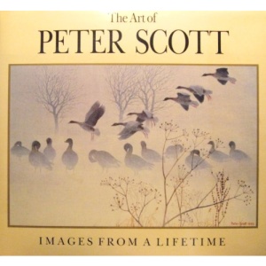 The Art of Peter Scott
