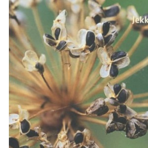 Seeds: The Ultimate Guide to Growing Successfully from Seed