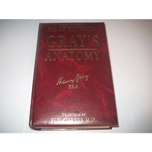 Gray's Anatomy