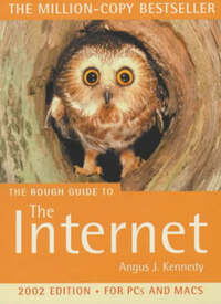 Internet: Mini Rough Guide (7) (Mini Rough Guides)