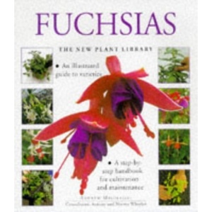 Fuchsias (New Plant Library)
