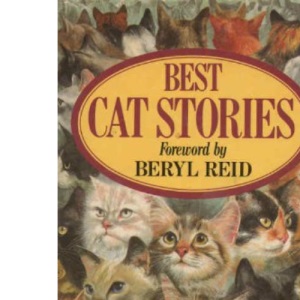 Best Cat Stories