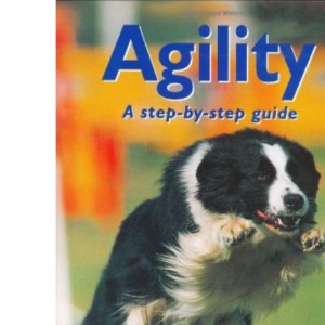 Agility: A Step-by-step Guide