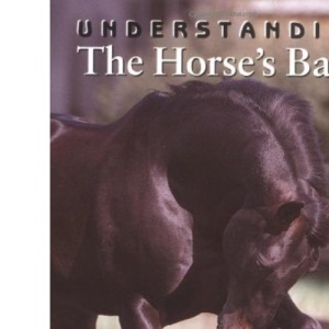 Understanding the Horse's Back