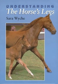 Understanding the Horse's Legs