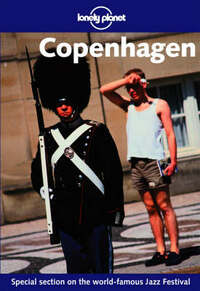 Copenhagen (Lonely Planet City Guides)