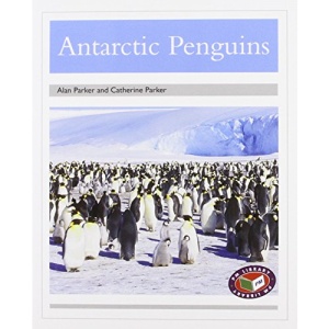 Antarctic Penguins