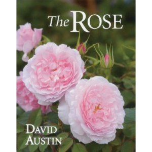 The Rose