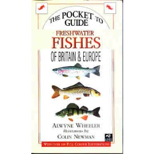 Freshwater Fishes of Britain and Europe (Compact Guides series)