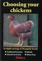 Choosing Your Chickens