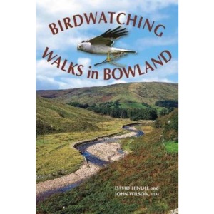Birdwatching Walks in Bowland
